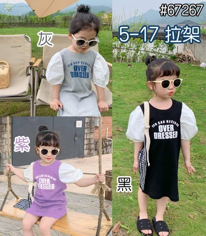 TGS 099 灰 / 紫