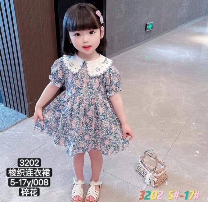 TGS 106